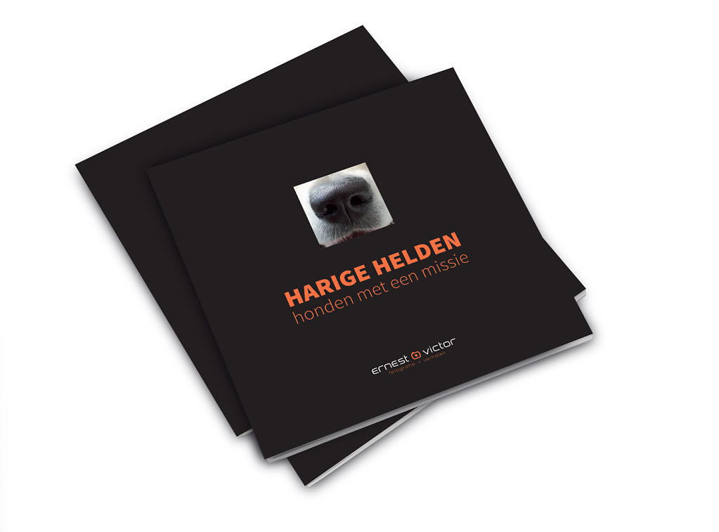 Boek-harige-helden.jpg